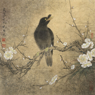 枝头鹊影