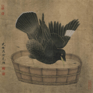 笼中黑鸟展翅图