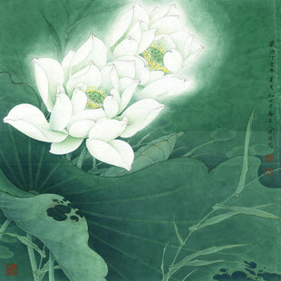 水墨风绽放的洁白荷花