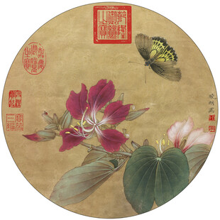 工笔荷花蝴蝶图