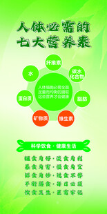 七大营养素海报展示