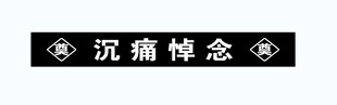 沉痛悼念