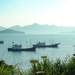 海上船只与远山绿植景观