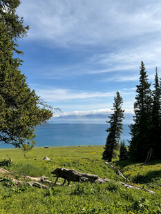 高山草甸旁的壮阔湖景