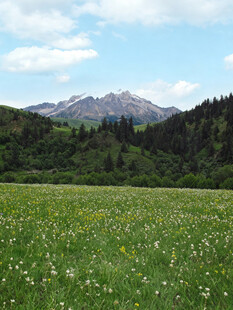 草原山峦美景