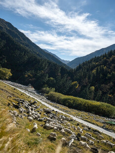 山间蜿蜒公路美景