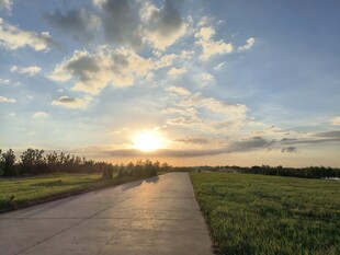 夕阳下的田野小路