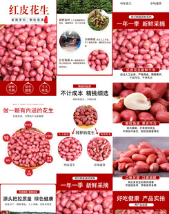 红衣花生详情