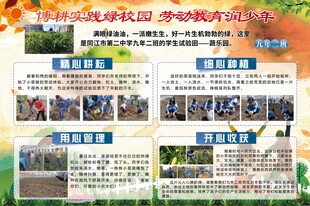校园活动风采展示