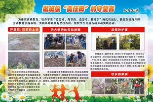 社区活动风采展示