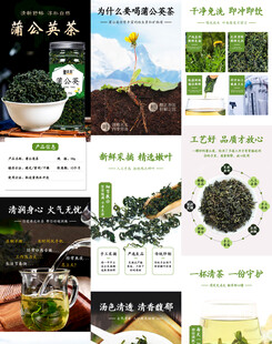 蒲公英详情