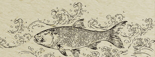 水中游鱼的古朴插画