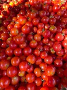 饱满鲜红的小番茄堆