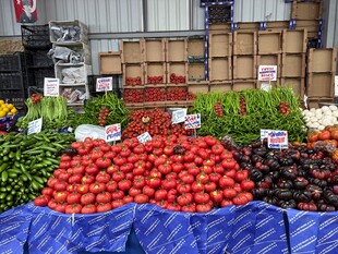 新鲜多样蔬菜摆满摊位