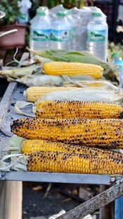 户外烤架上的美味烤玉米