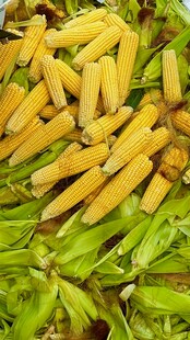 新鲜玉米笋搭配翠绿蔬菜