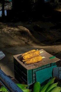 户外箱上摆放的金黄玉米