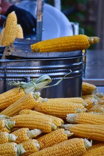 新鲜玉米堆 