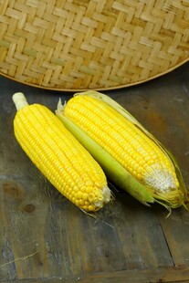 新鲜玉米棒
