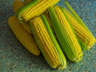 新鲜玉米棒