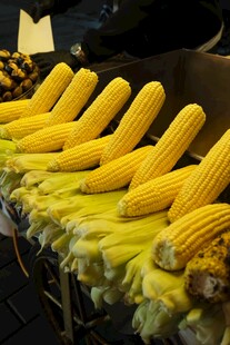 金黄玉米整齐排列待售