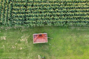 田野中的红色小屋