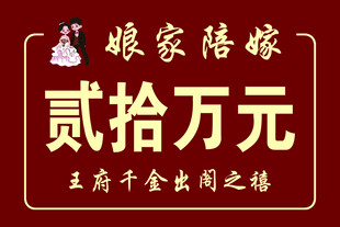 娘家陪嫁二十万元