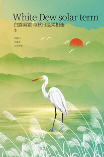 白鹭伫立湿地白露节气海报