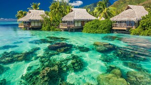 水上度假小屋碧海蓝天