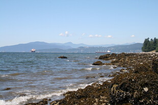 海边礁石与远处山峦风景
