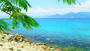 美丽海滨风光