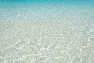 清澈见底的蓝色海水