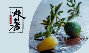 处暑展板中式静物柠檬青柠与枝叶