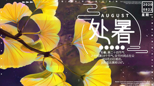 处暑时节银杏绽放