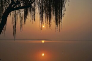 夕阳下垂柳映于湖面美景
