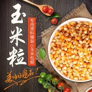 玉米粒主图