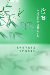 处暑时节清新翠竹图