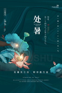 处暑时节荷花绽放美景