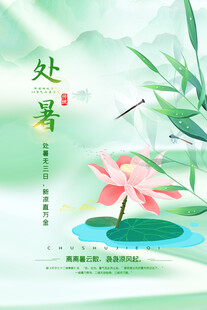 处暑时节荷花绽放图景