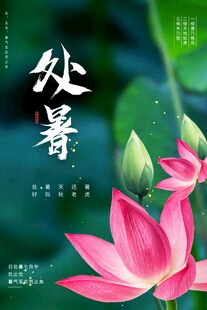 处暑时节绽放的娇艳荷花