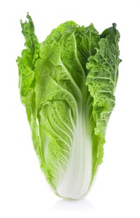 新鲜大白菜
