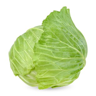 新鲜圆白菜