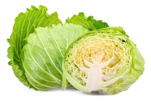 新鲜卷心菜 