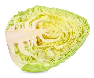 新鲜卷心菜特写