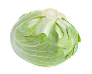 新鲜圆白菜