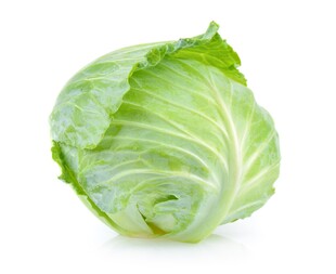 新鲜圆白菜