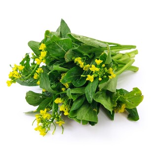 新鲜嫩油菜 