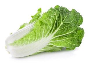 新鲜大白菜