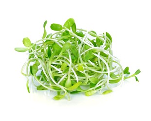 新鲜绿豆芽 
