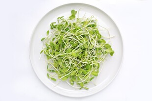 盘中鲜嫩豆芽菜